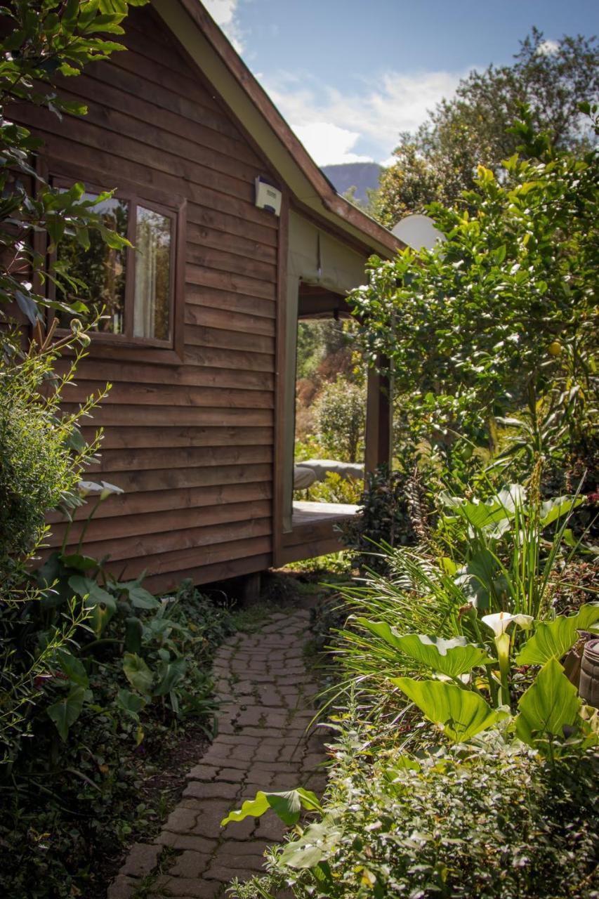 Pear Tree Cottage Stormsrivier Extérieur photo