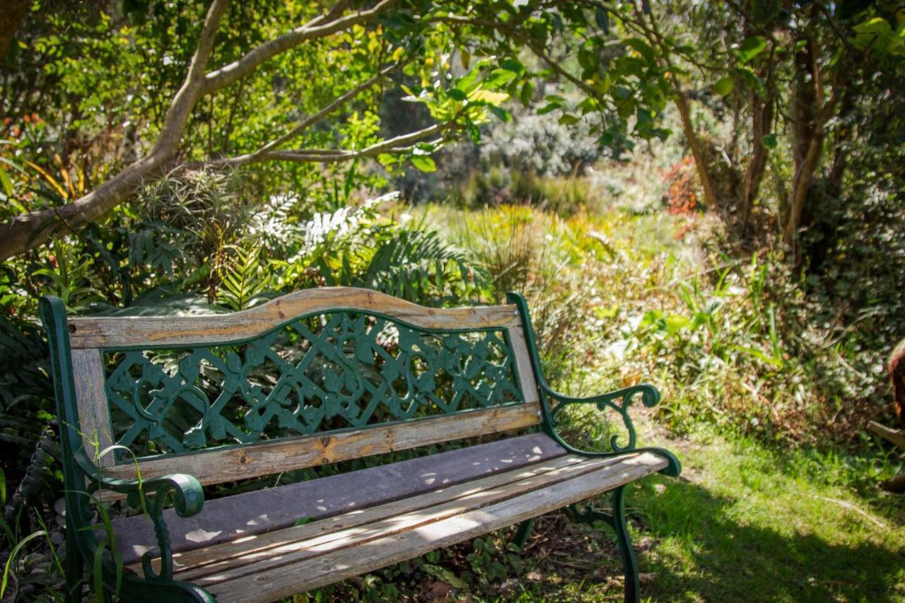 Pear Tree Cottage Stormsrivier Extérieur photo